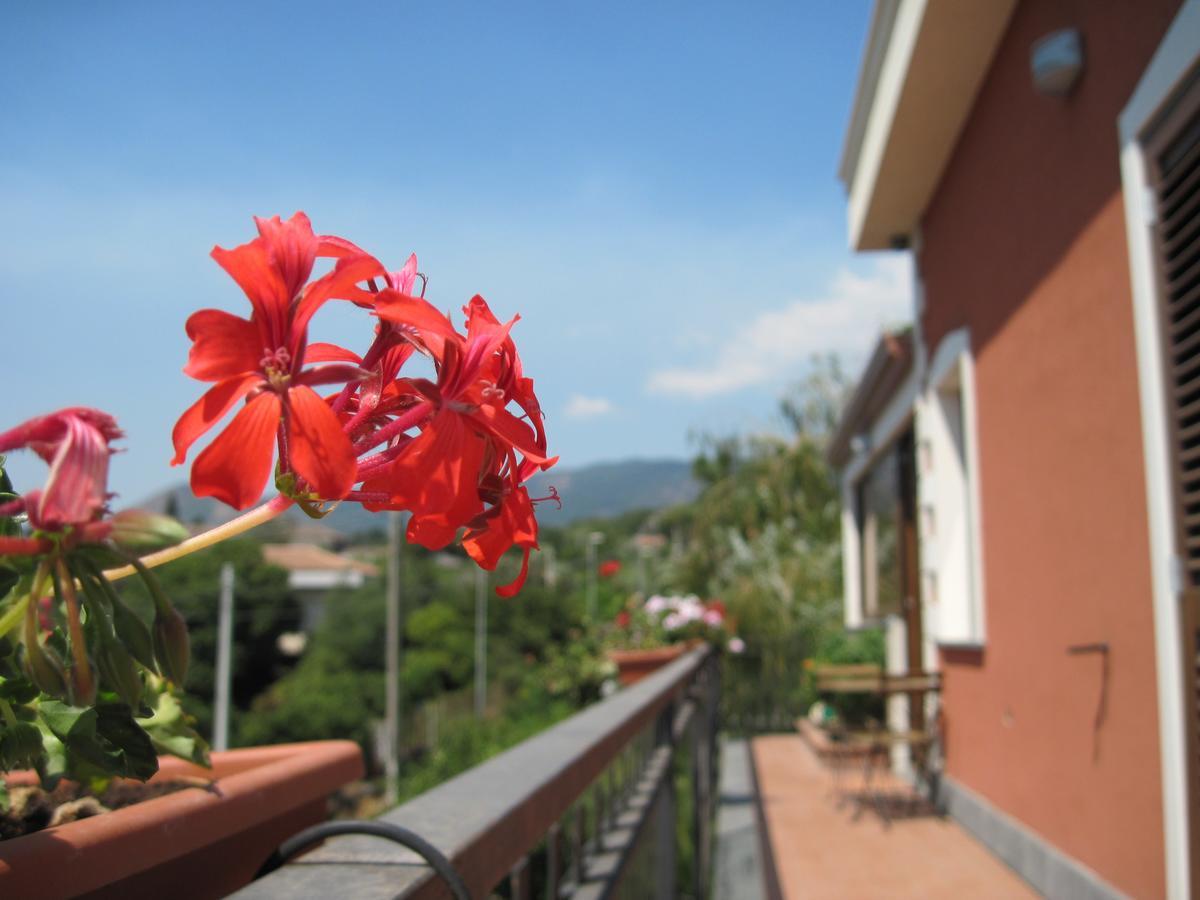 Anthea Dell' Etna Bed & Breakfast Санта Венерина Екстериор снимка